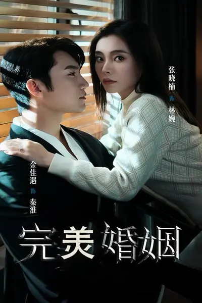 完美婚姻短剧