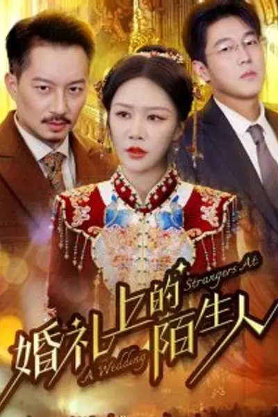 婚礼上的陌生人