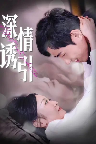 深情诱引