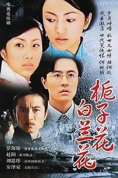 栀子花白兰花