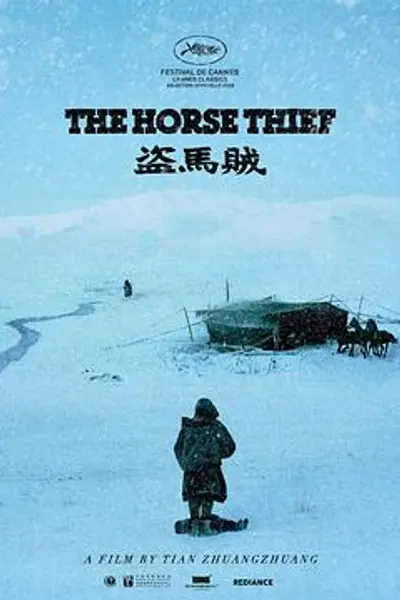 盗马贼
