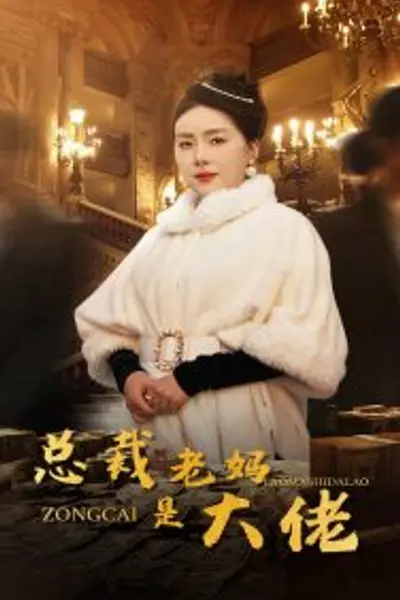总裁老妈是大佬