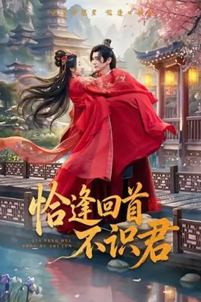 恰逢回首不识君
