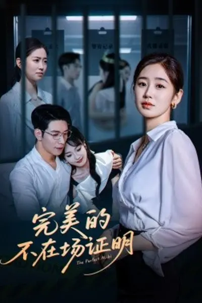 完美的不在场证明