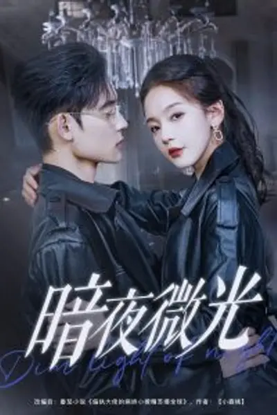 暗夜微光