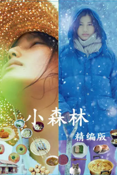 小森林精编版