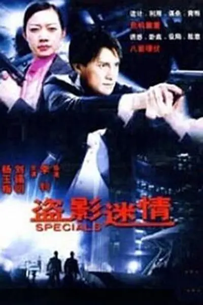 盗影谜情