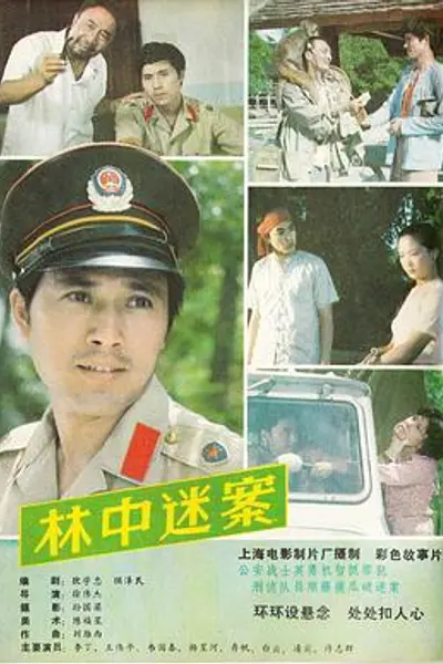 林中迷案