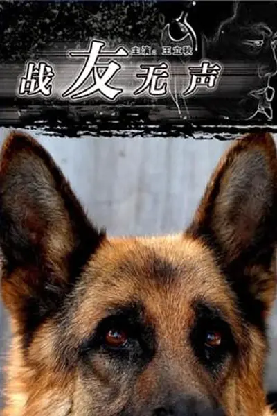 战友无声