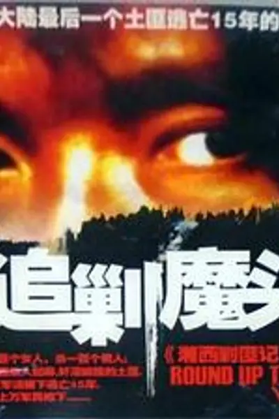 追剿魔头