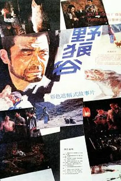 野狼谷