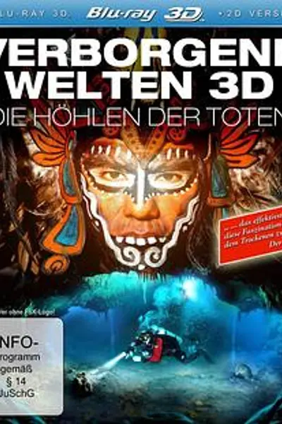 隐秘世界3D：死亡洞穴