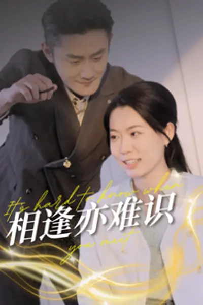 相逢亦难识