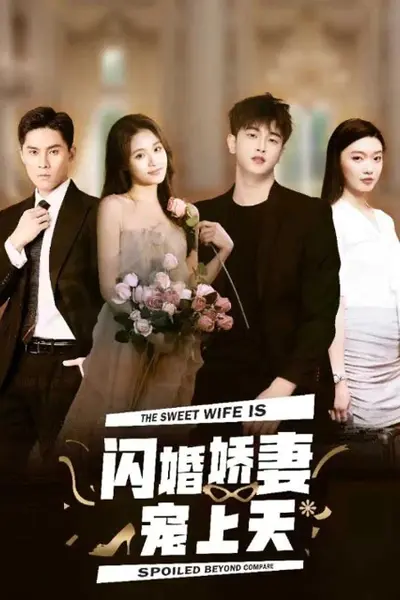 闪婚娇妻宠上天