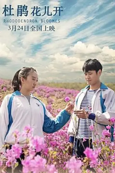 杜鹃花儿开