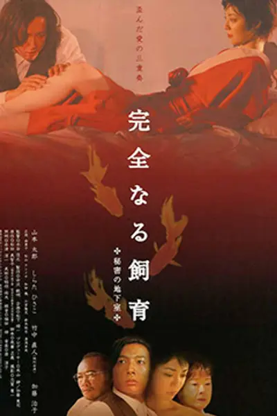 禁室培欲4秘密地下室
