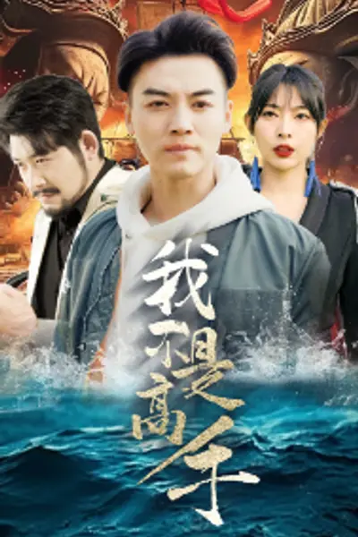 我不是高手