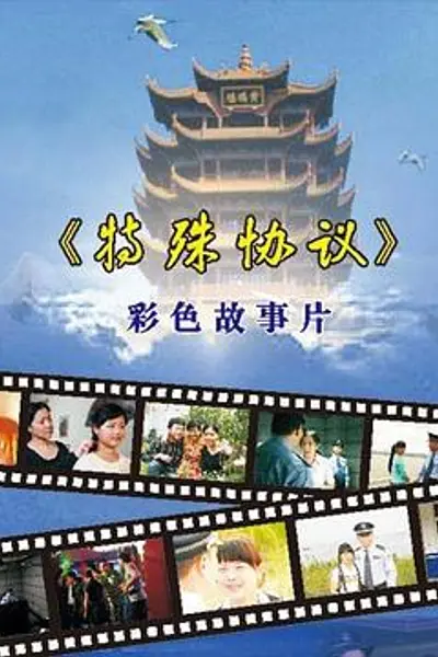 特殊协议
