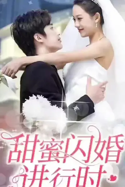 甜蜜闪婚进行时
