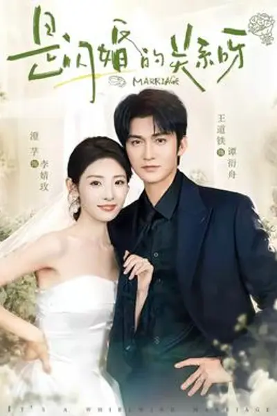 是闪婚的关系呀