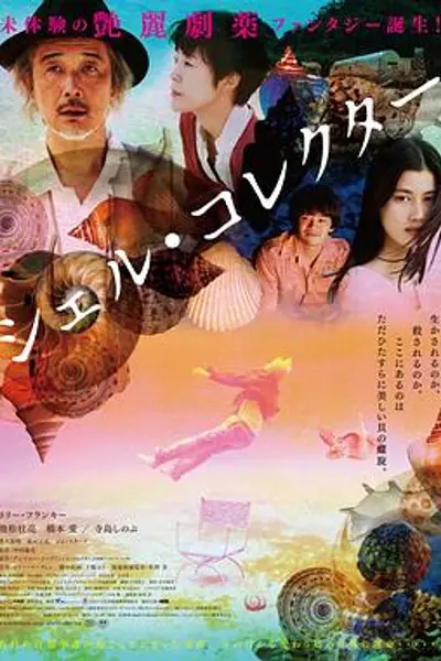 贝壳收藏家