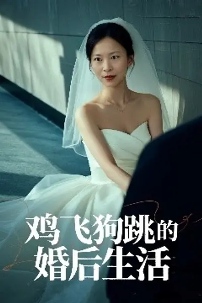 鸡飞狗跳的婚后生活