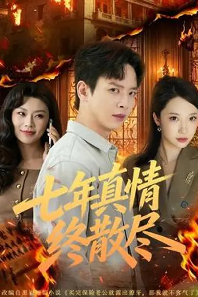七年真情终散尽