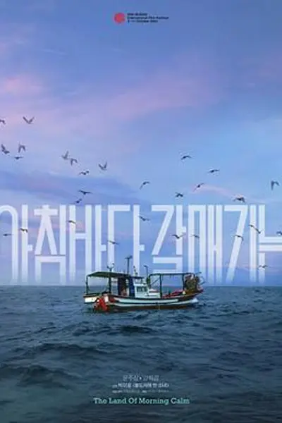 晨海的海鸥