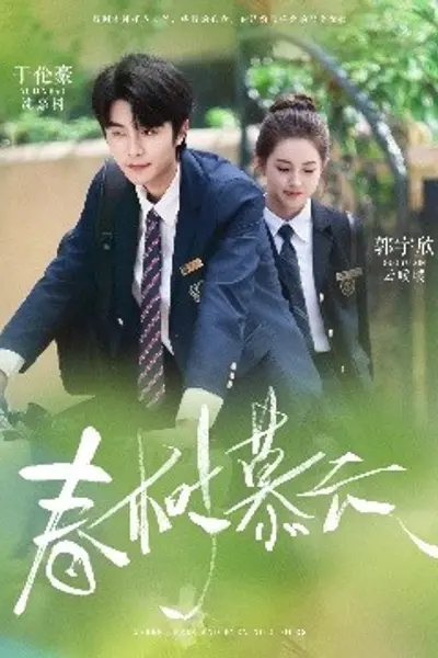 春树慕云