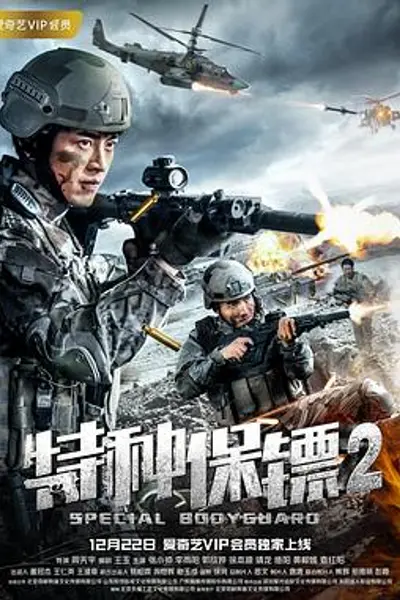 特种保镖2