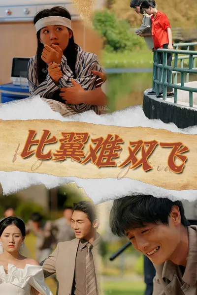 比翼难双飞
