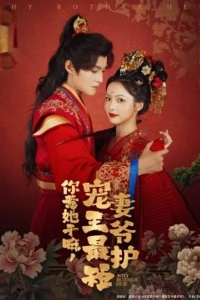 你惹她干嘛，宠妻王爷最护短