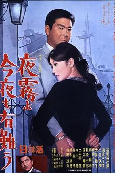 夜雾啊 今晚也要谢谢你