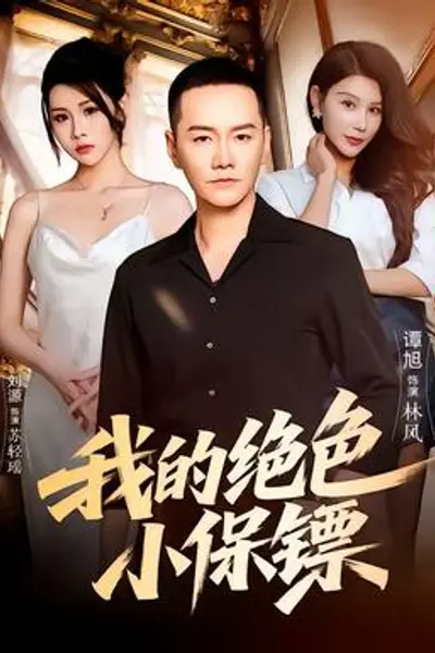 我的绝色小保镖