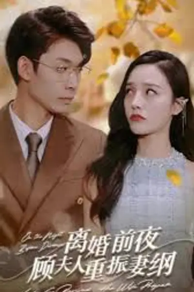 离婚前夜顾夫人重振妻纲