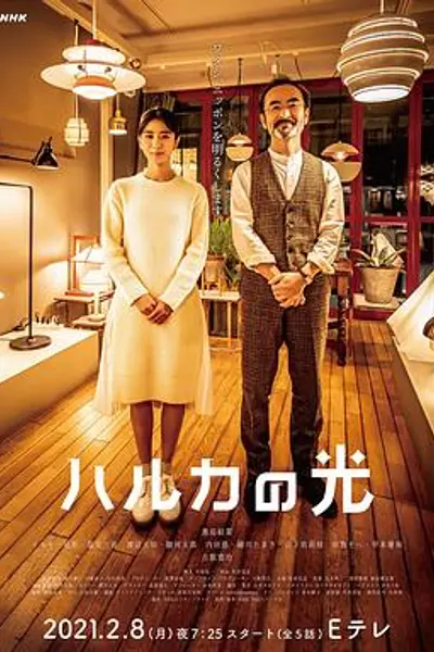 遥之光