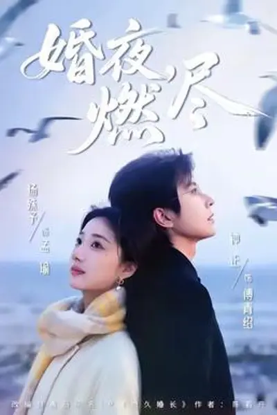 婚夜,燃尽