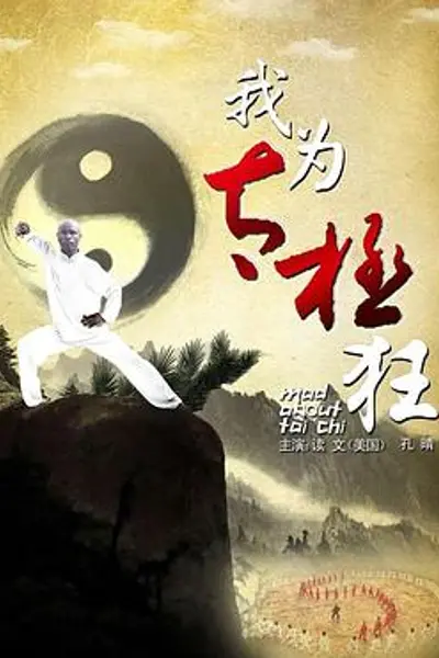 我为太极狂