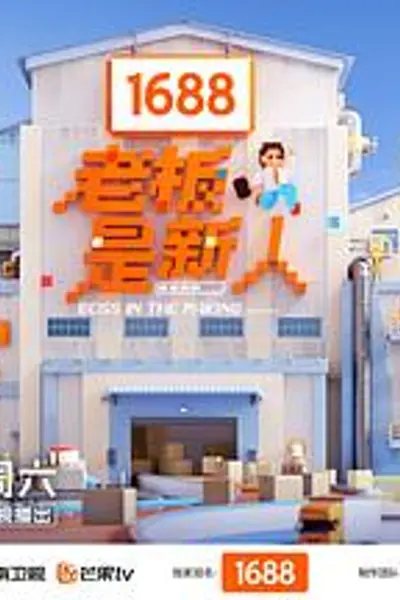 老板是新人