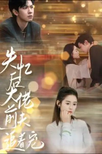 失忆后大佬前夫追着宠
