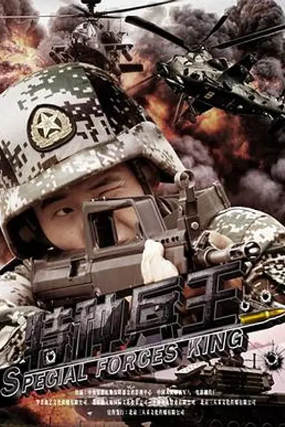 特种兵王