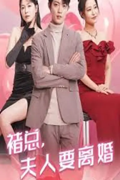 褚总夫人要离婚
