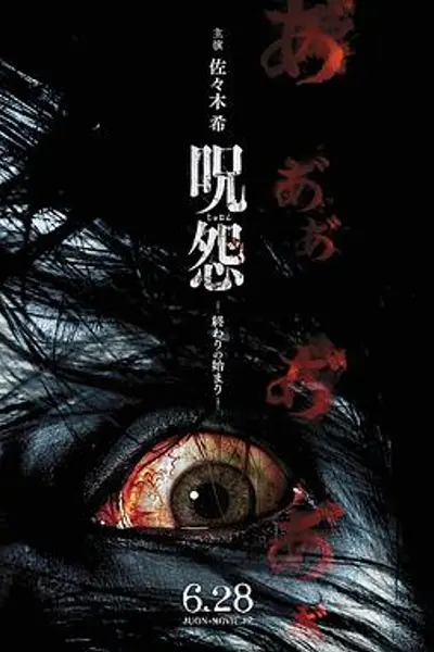 咒怨:终结的开始