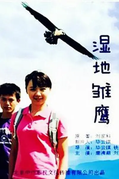 湿地雏鹰