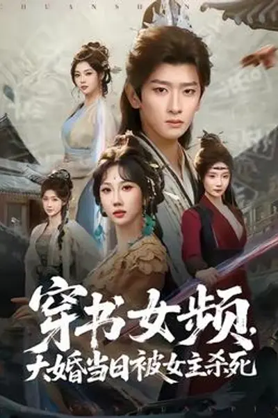 穿书女频，大婚当日被女主杀死