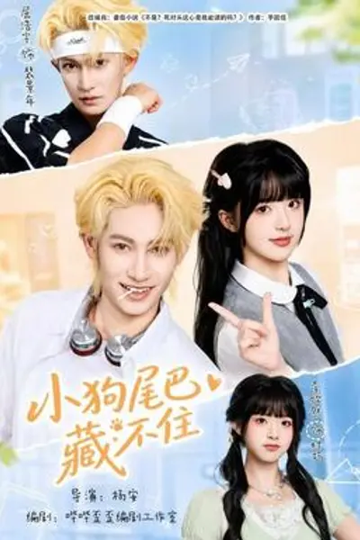小狗尾巴藏不住