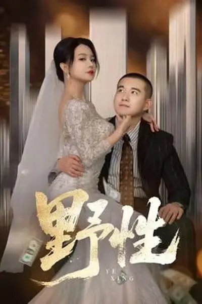野性短剧版