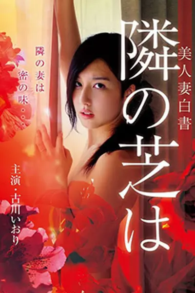 美人妻白书