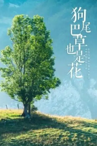 狗尾巴草也是花