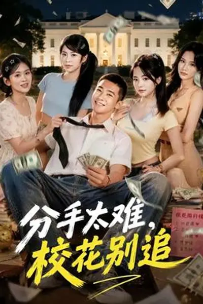 分手太难,校花别追